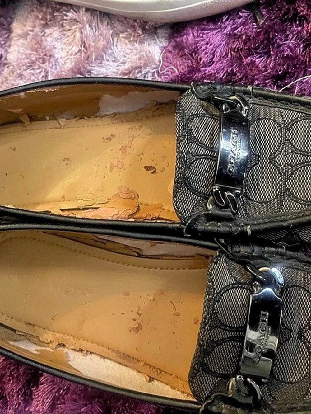 Coach Horsebit Loafers in Brown & Black